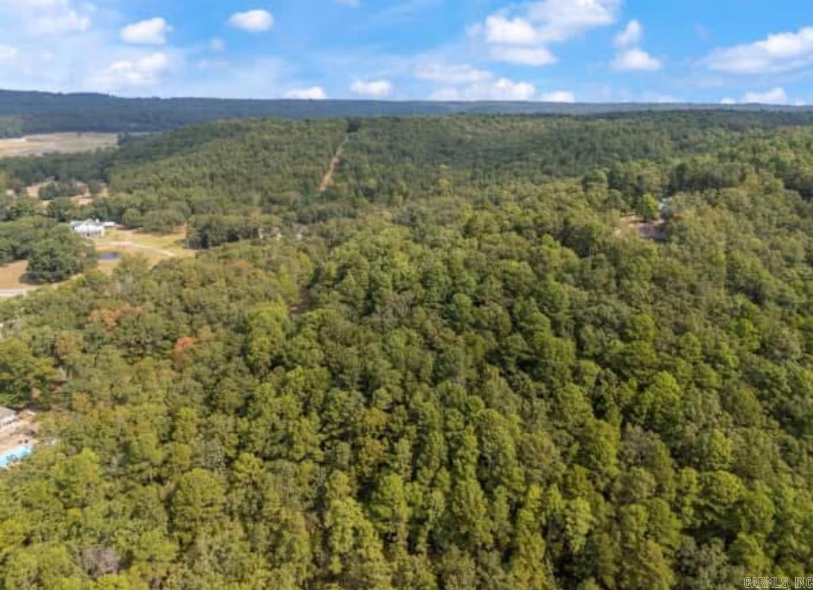 169  Brooke Ln.  Bee Branch, AR