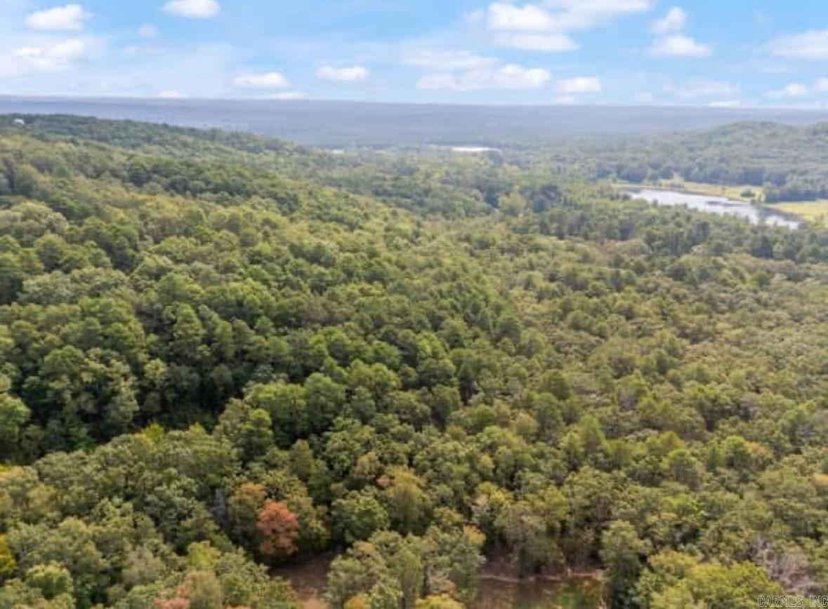 169  Brooke Ln.  Bee Branch, AR