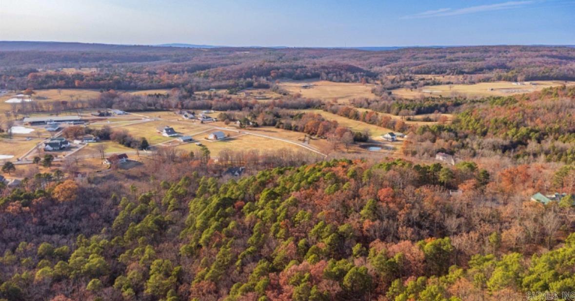 169  Brooke Ln.  Bee Branch, AR