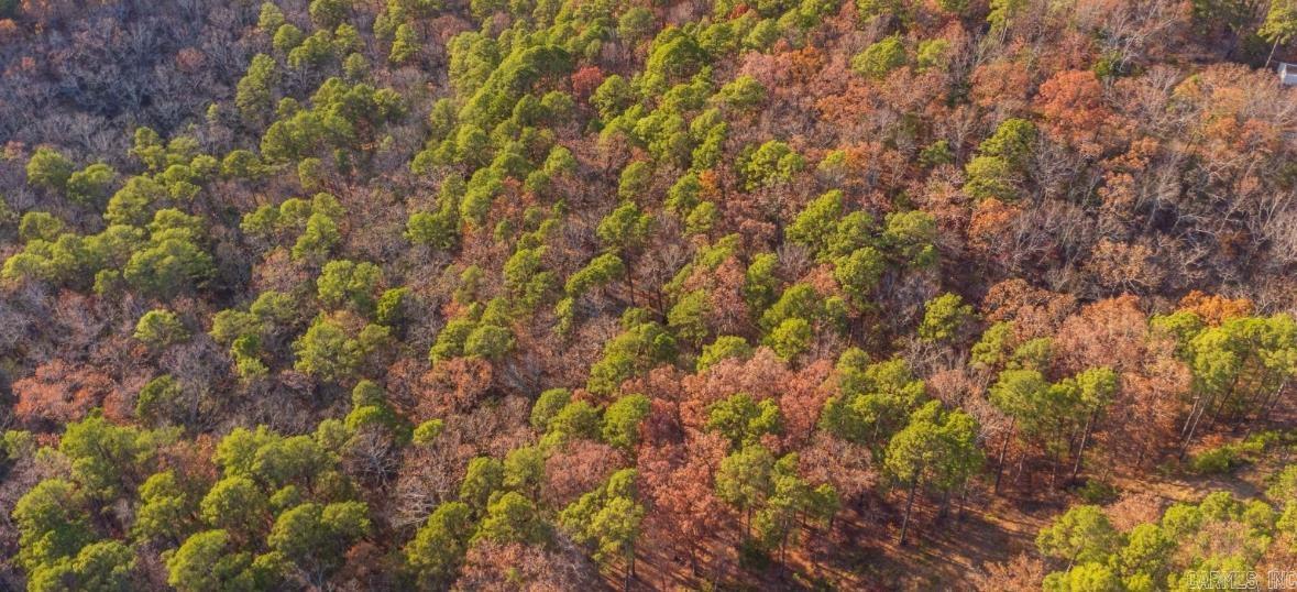 169  Brooke Ln.  Bee Branch, AR