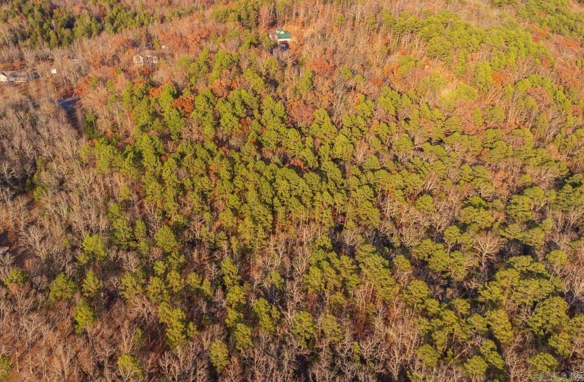 169  Brooke Ln.  Bee Branch, AR