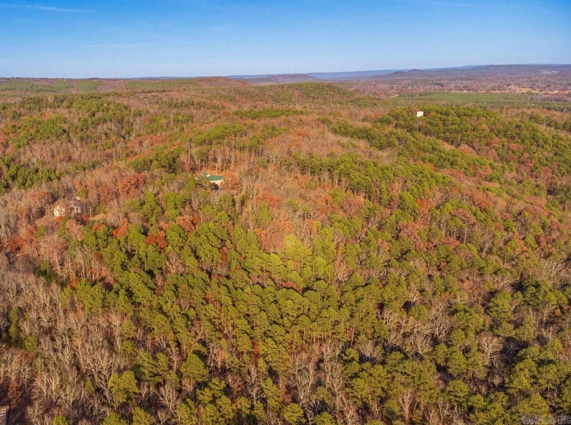 169  Brooke Ln.  Bee Branch, AR