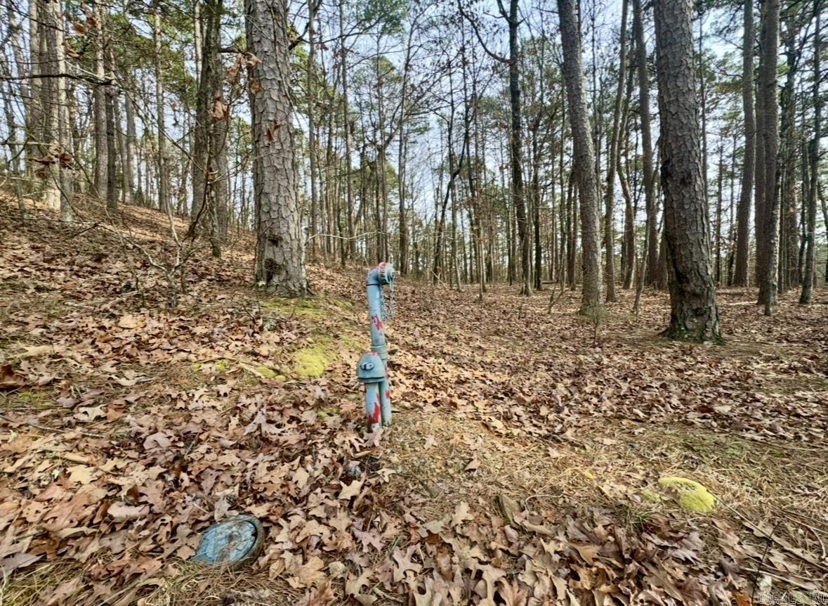 169  Brooke Ln.  Bee Branch, AR