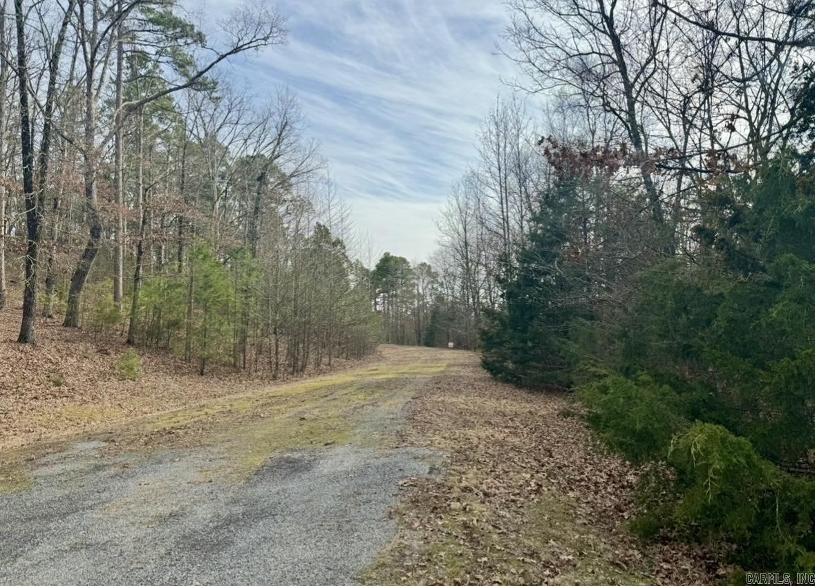 169  Brooke Ln.  Bee Branch, AR