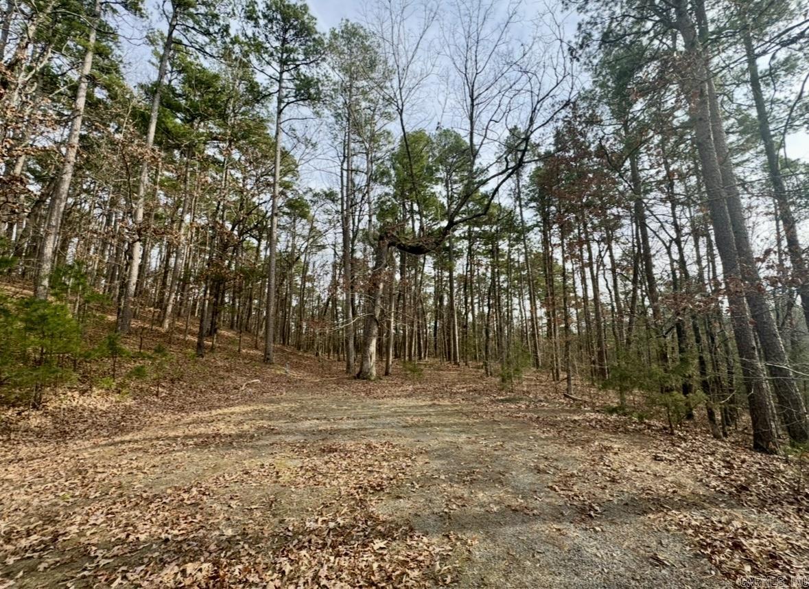 169  Brooke Ln.  Bee Branch, AR