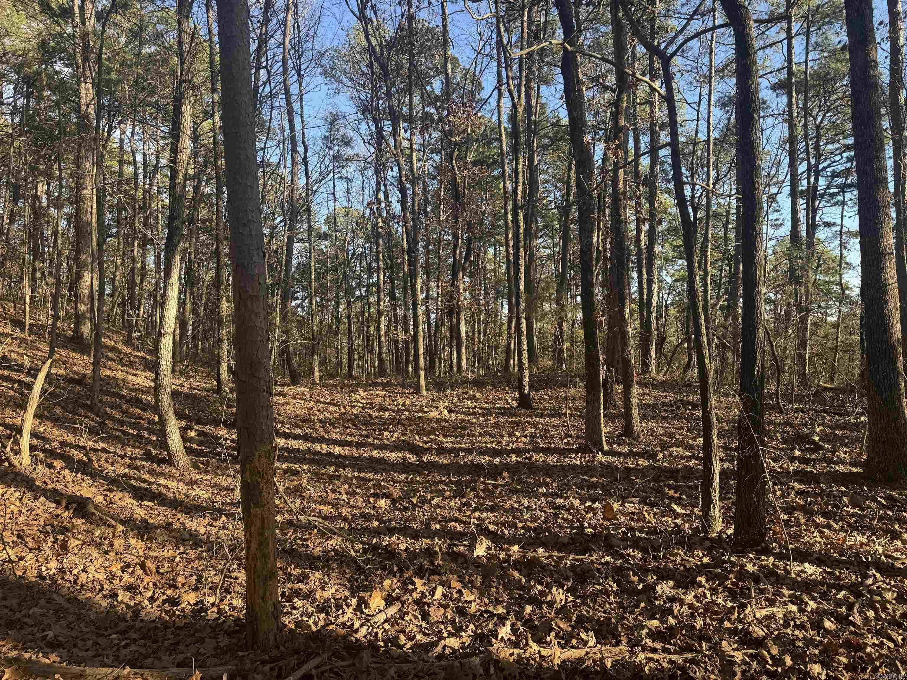 169  Brooke Ln.  Bee Branch, AR