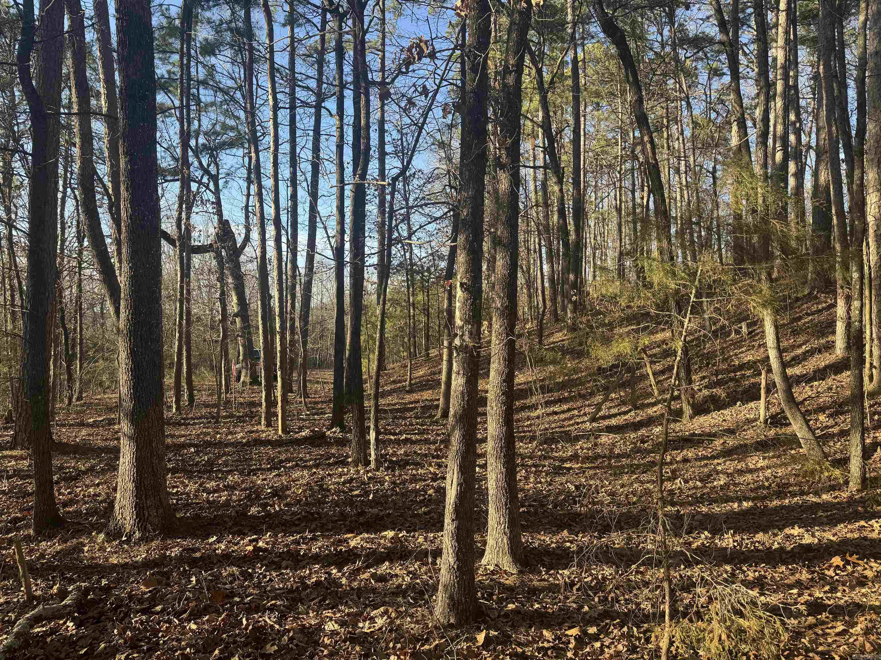 169  Brooke Ln.  Bee Branch, AR