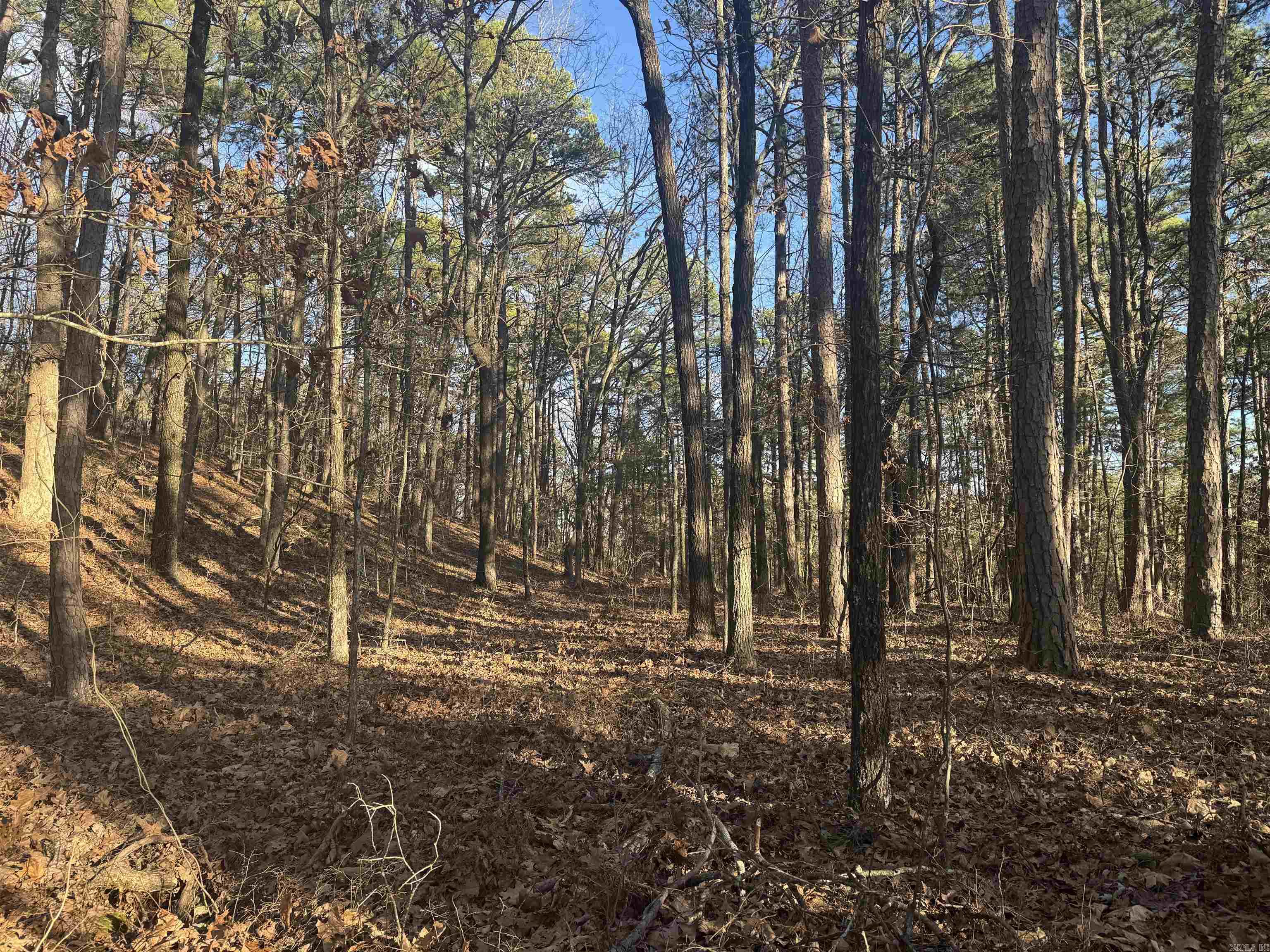 169  Brooke Ln.  Bee Branch, AR