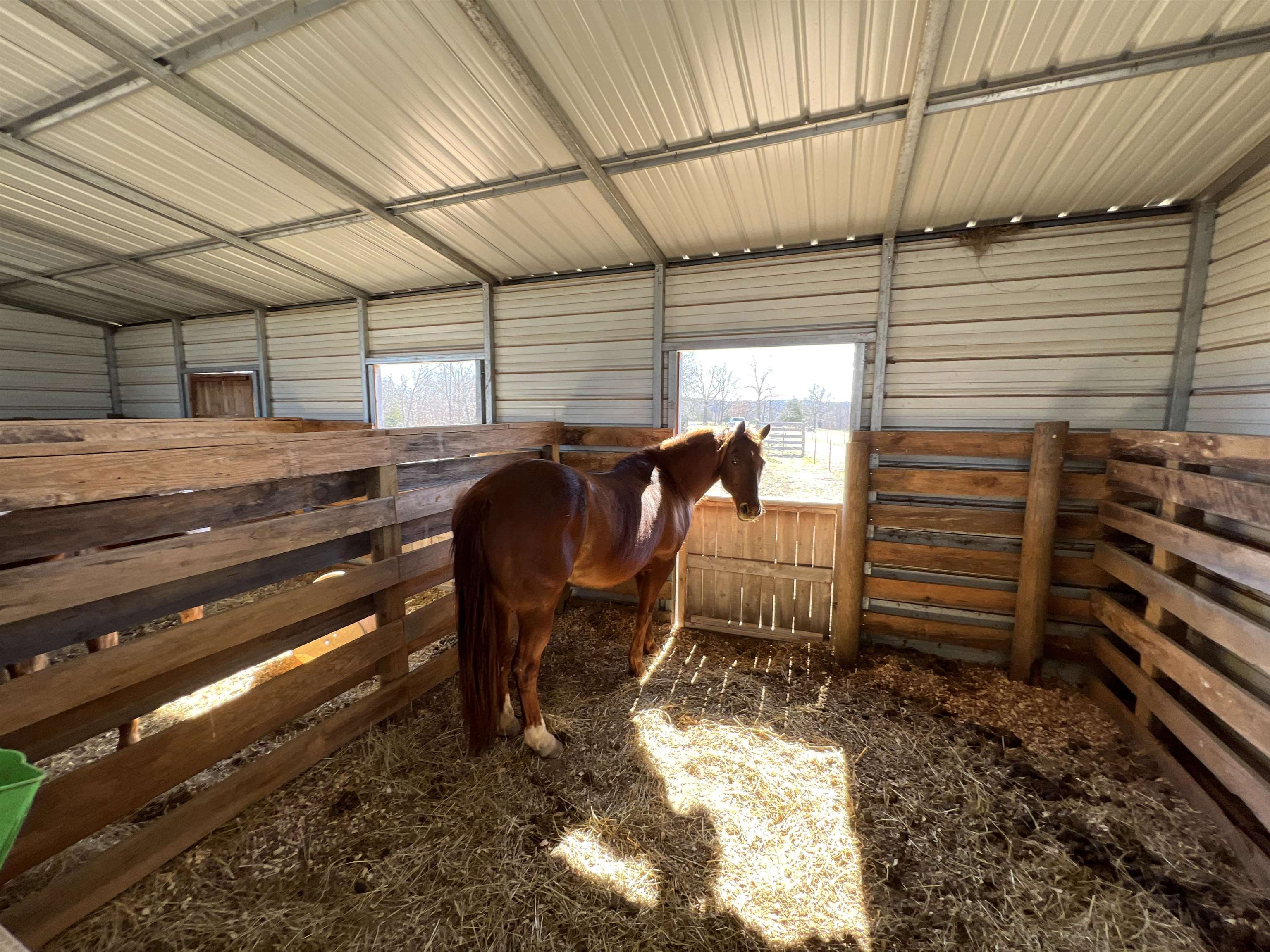 5048  HWY 289 North  Ash Flat, AR