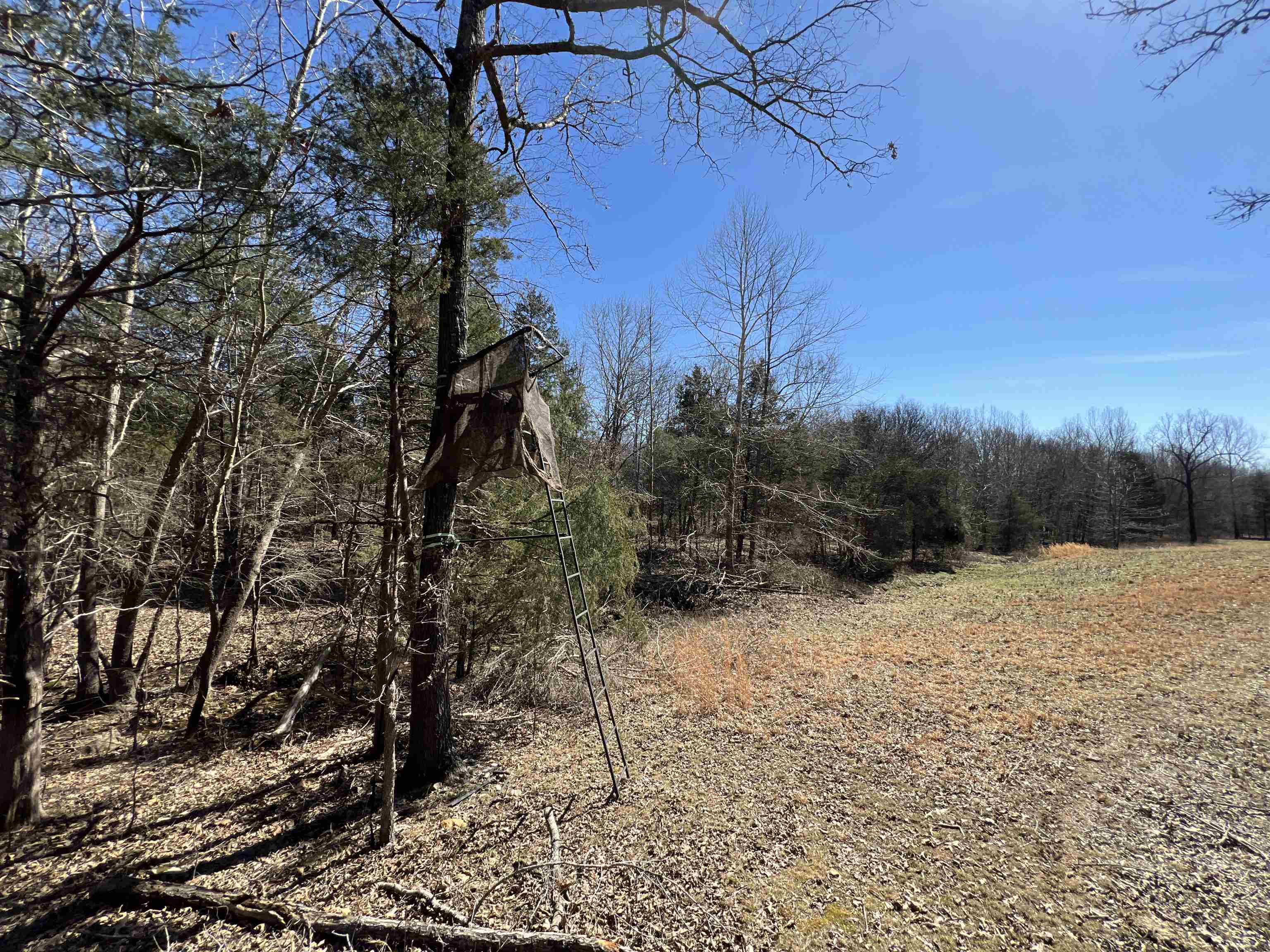 5048  HWY 289 North  Ash Flat, AR