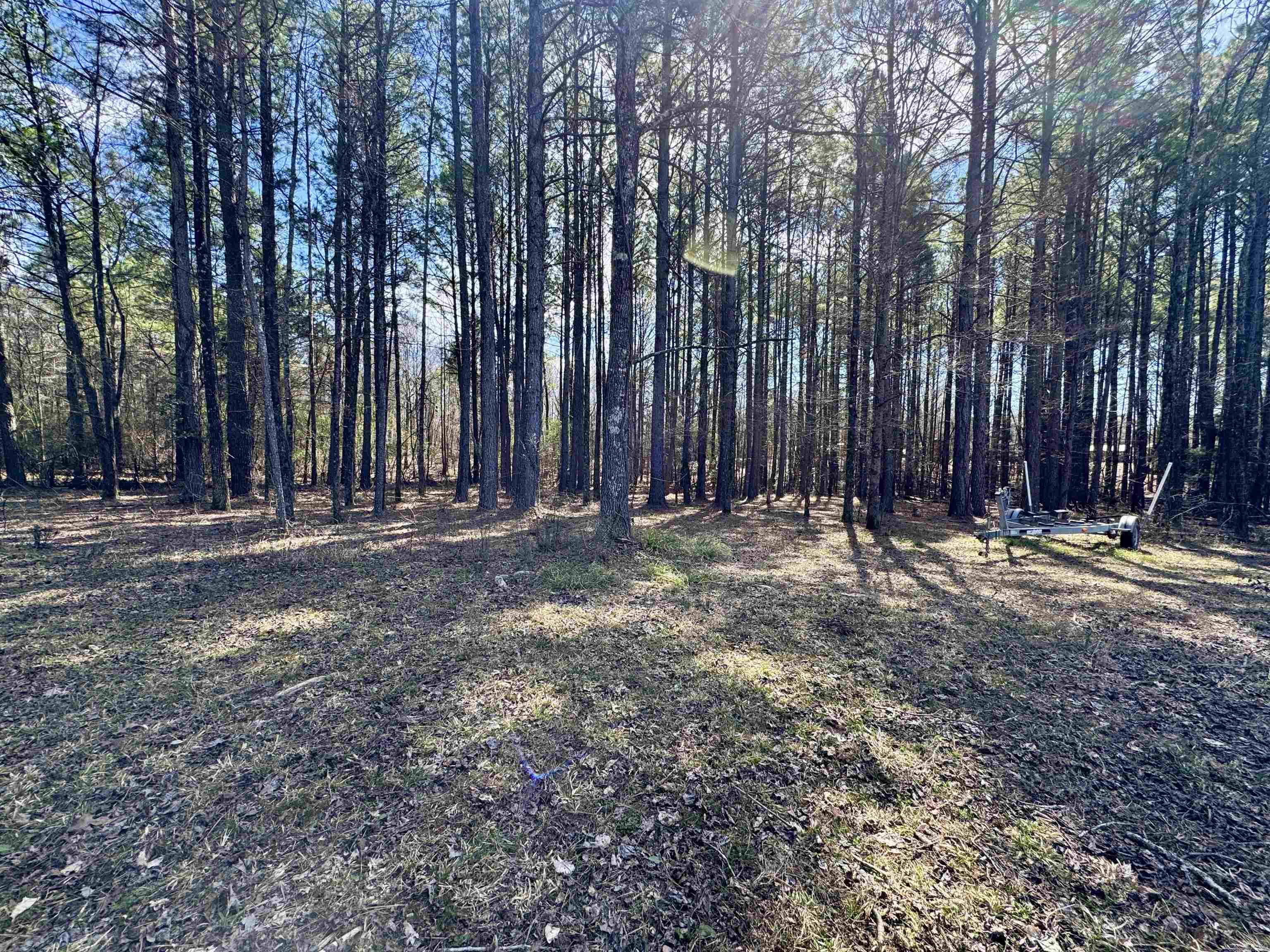 3453  Hickory Grove  Bismarck, AR