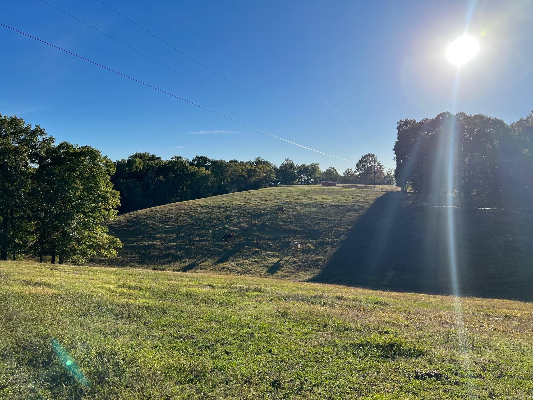 708  Kid Phillips Rd  Marshall, AR