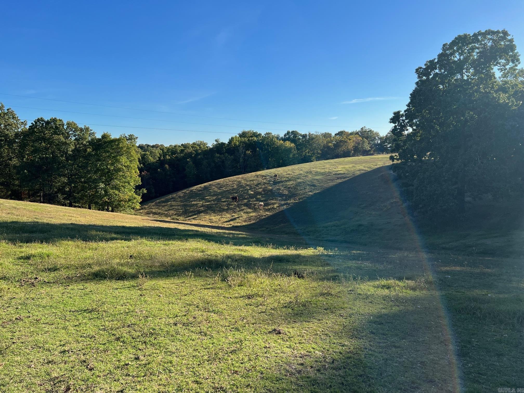 708  Kid Phillips Rd  Marshall, AR