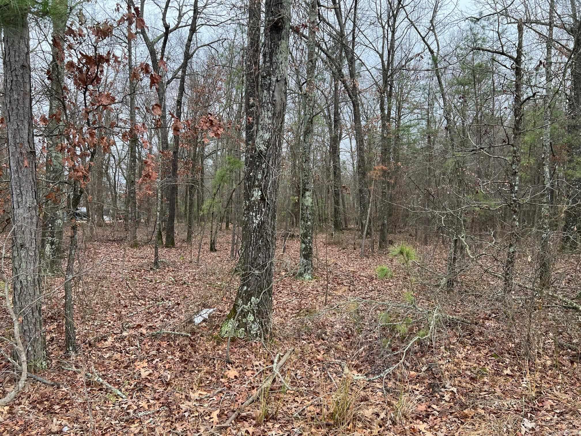 00  Ridgeway Road  Pine Bluff, AR