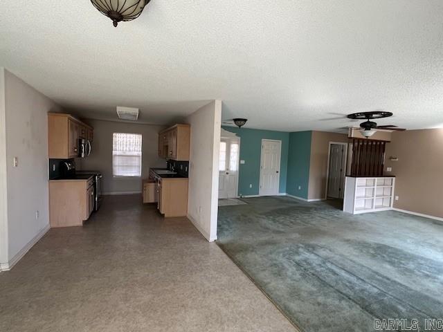 916 S 12th  Arkadelphia, AR