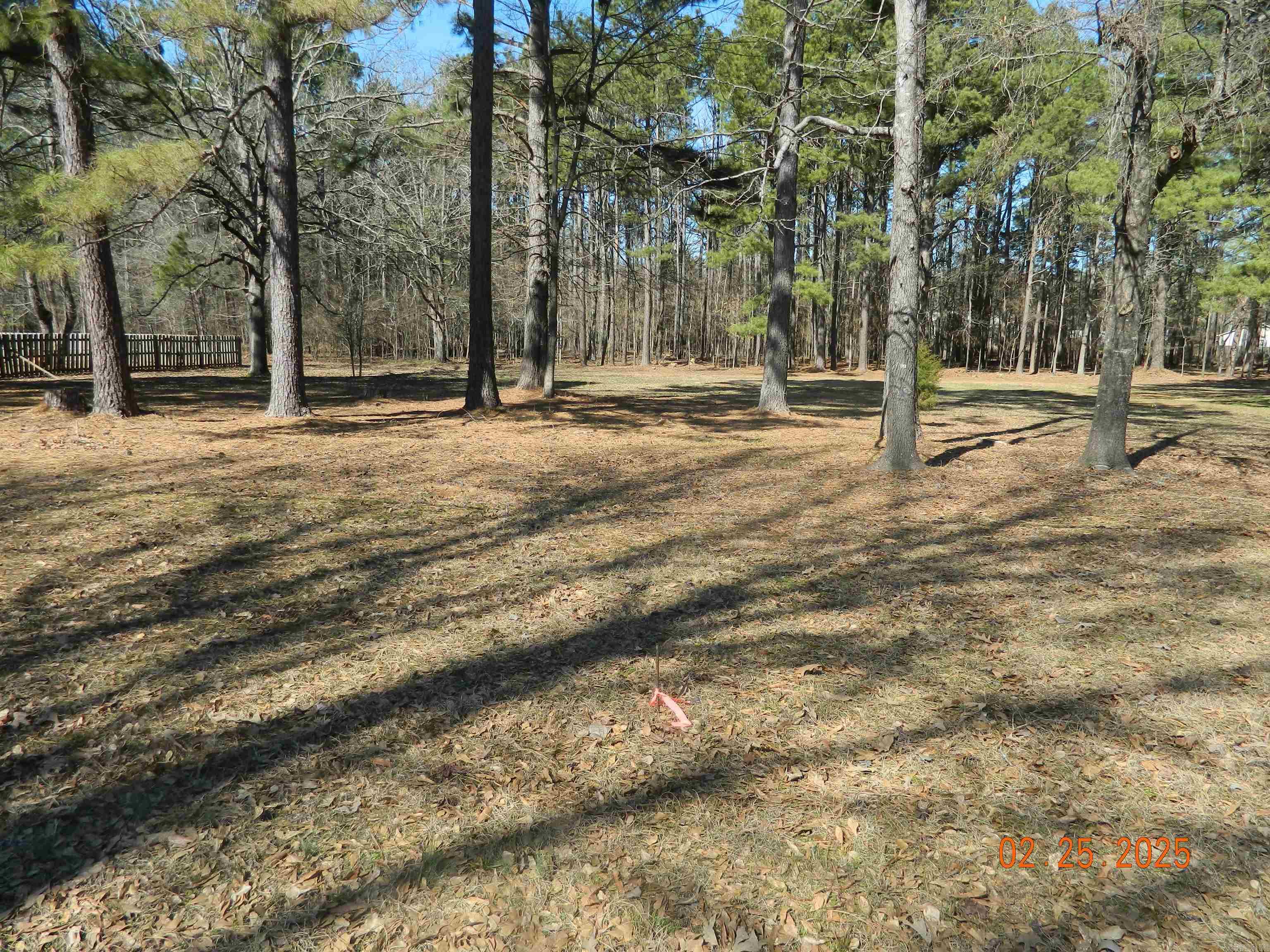 TBD  Madden  Arkadelphia, AR