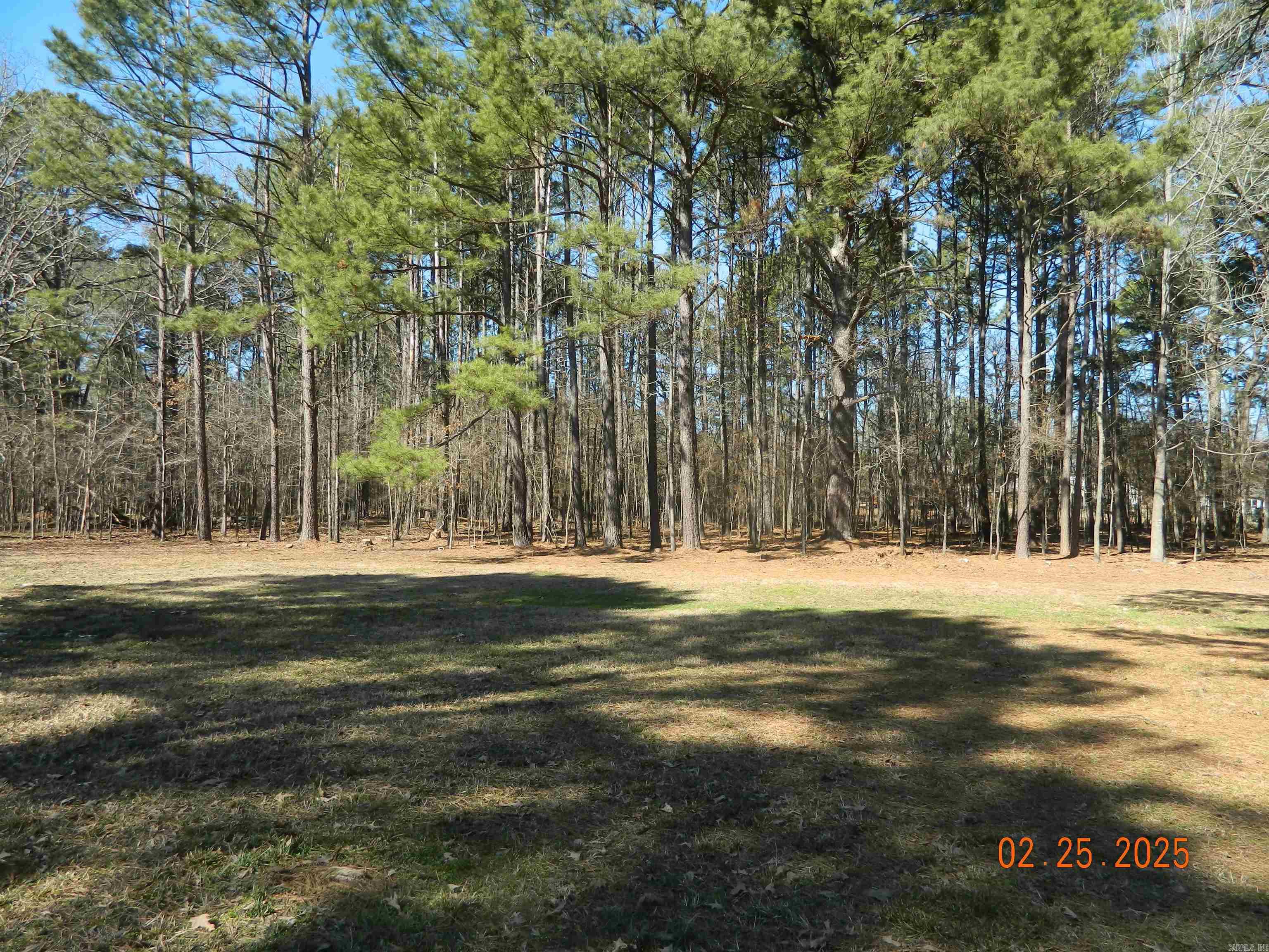 TBD  Madden  Arkadelphia, AR