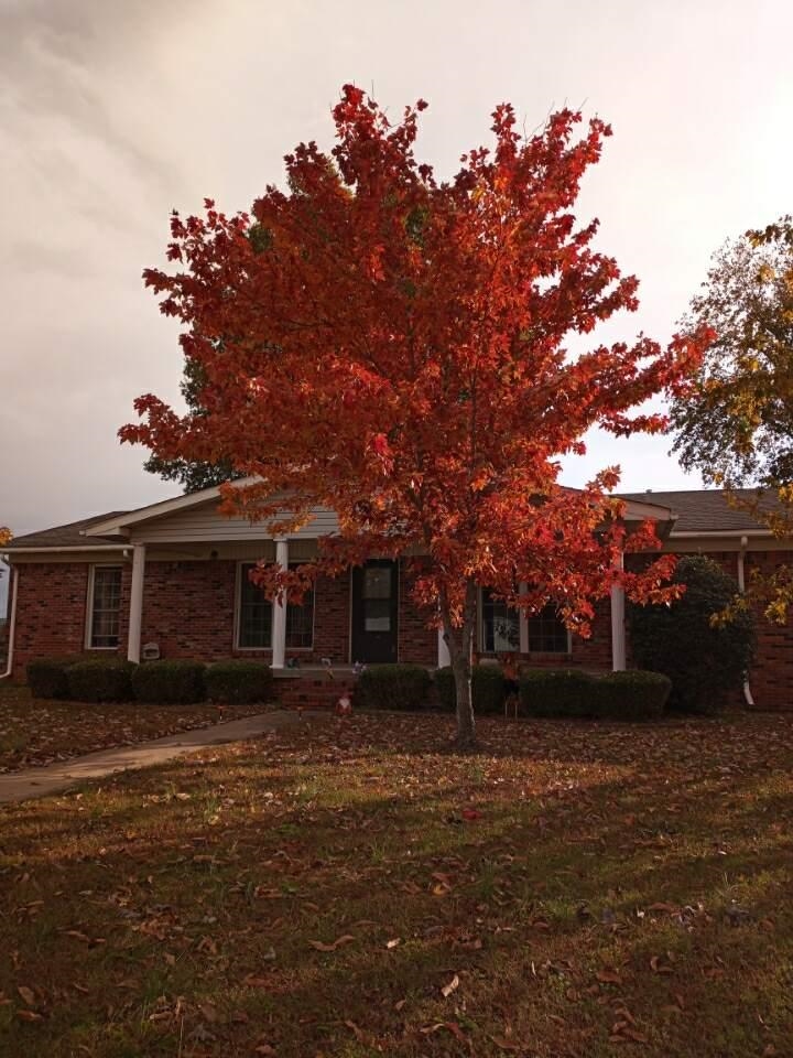 400 N 1st Street  Marmaduke, AR