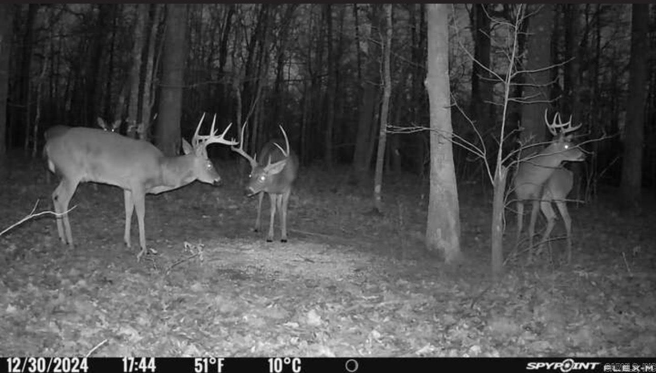 215 S Beryl  Jacksonville, AR
