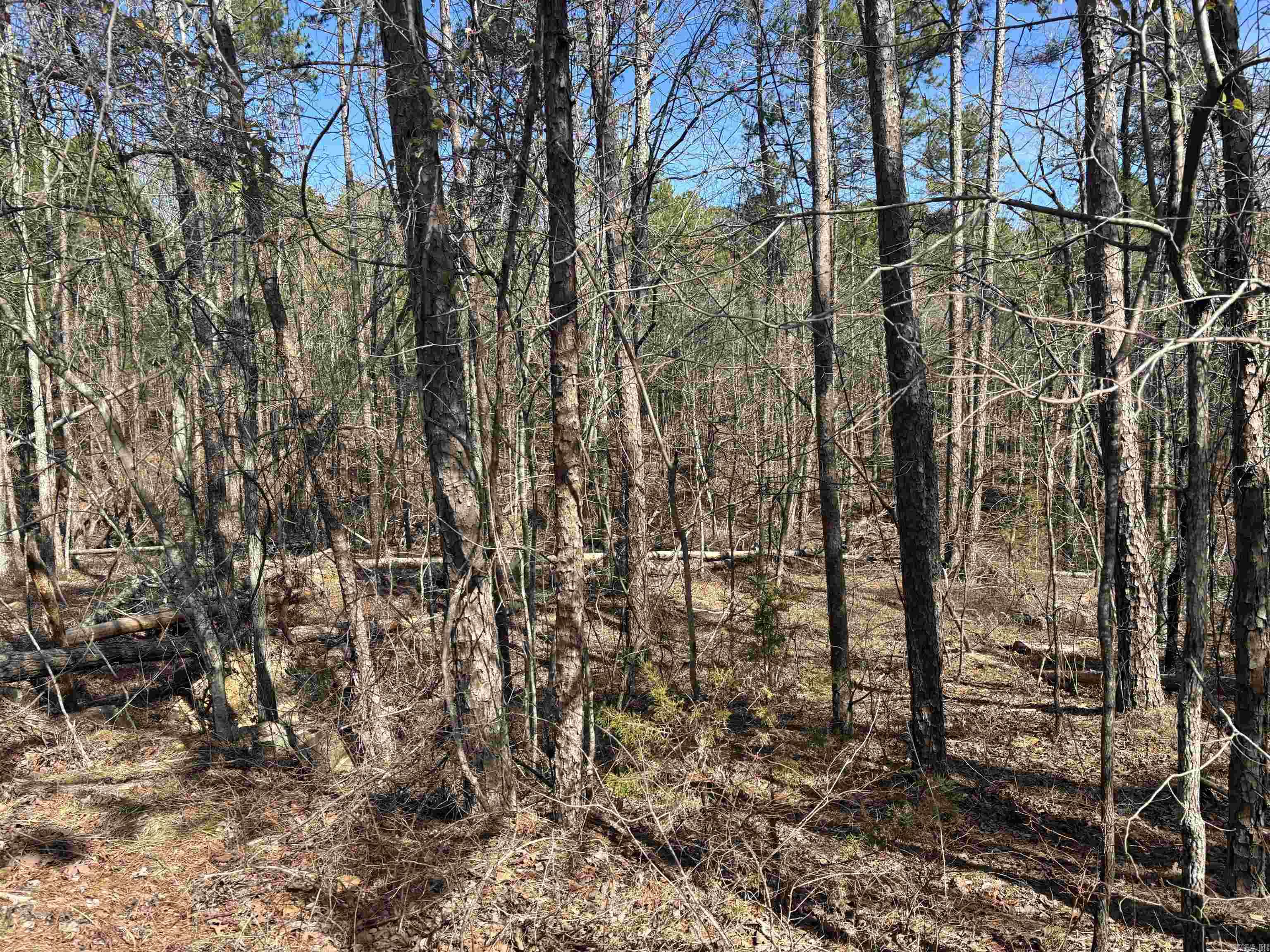 13  MURILLO CR  Hot Springs Village, AR