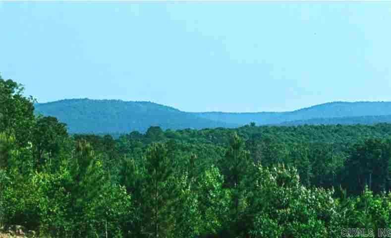 251  Polk Road 72  Mena, AR