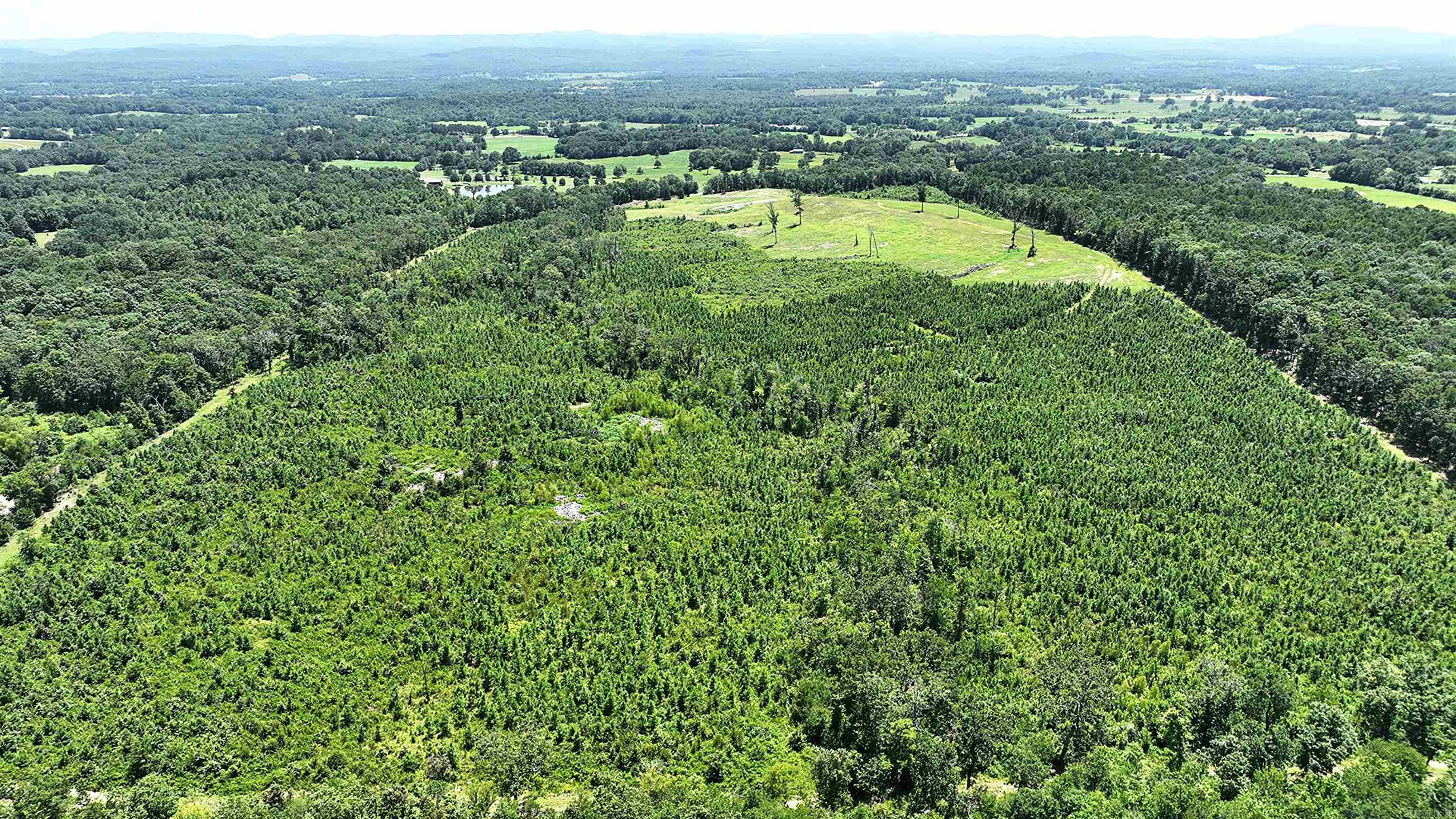 251 Polk Road 72  Mena, AR