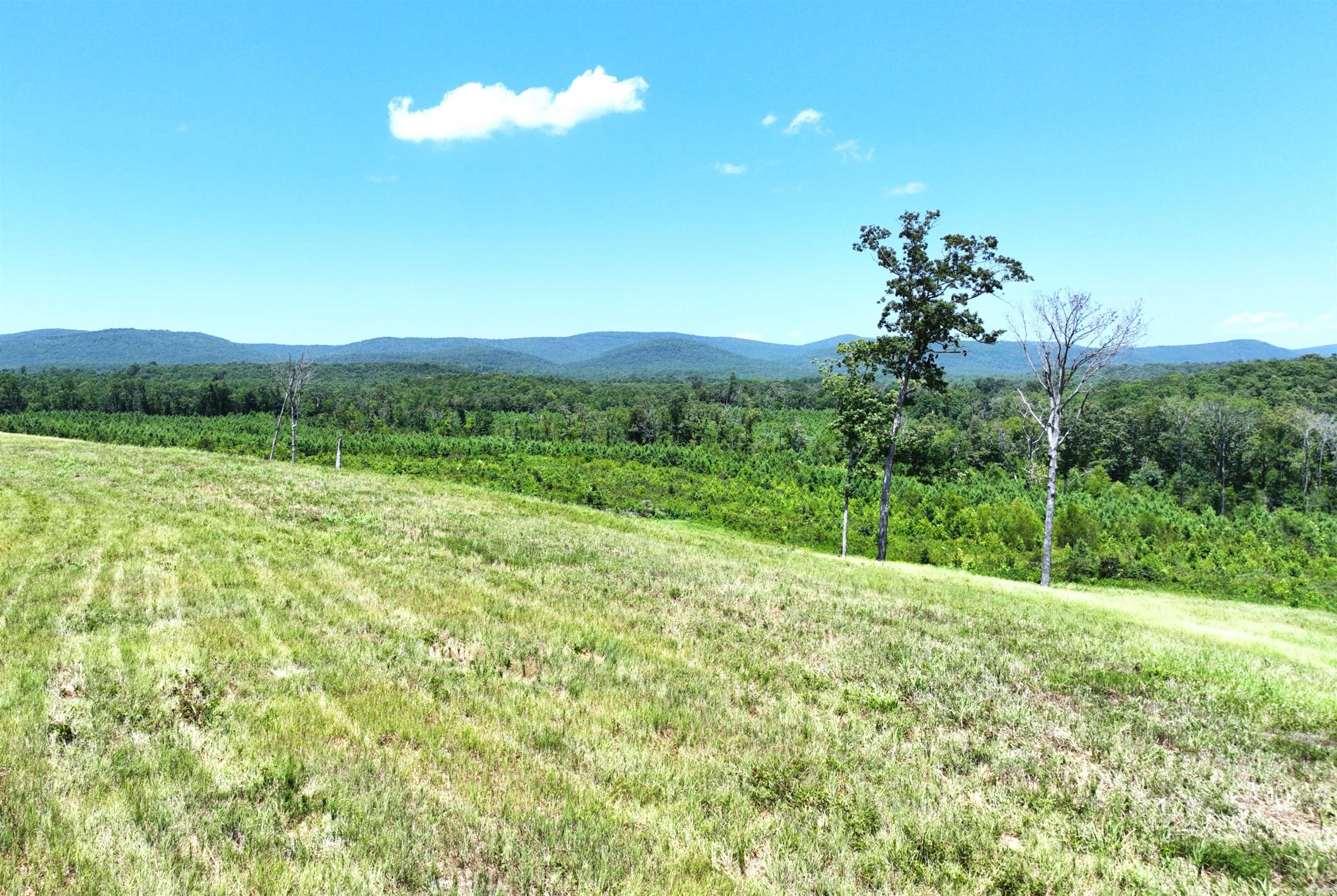 251 Polk Road 72  Mena, AR