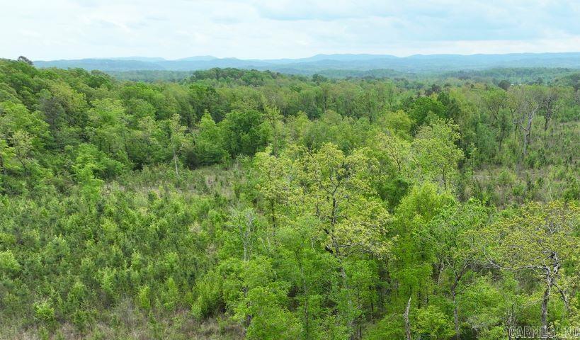 251  Polk Road 72  Mena, AR