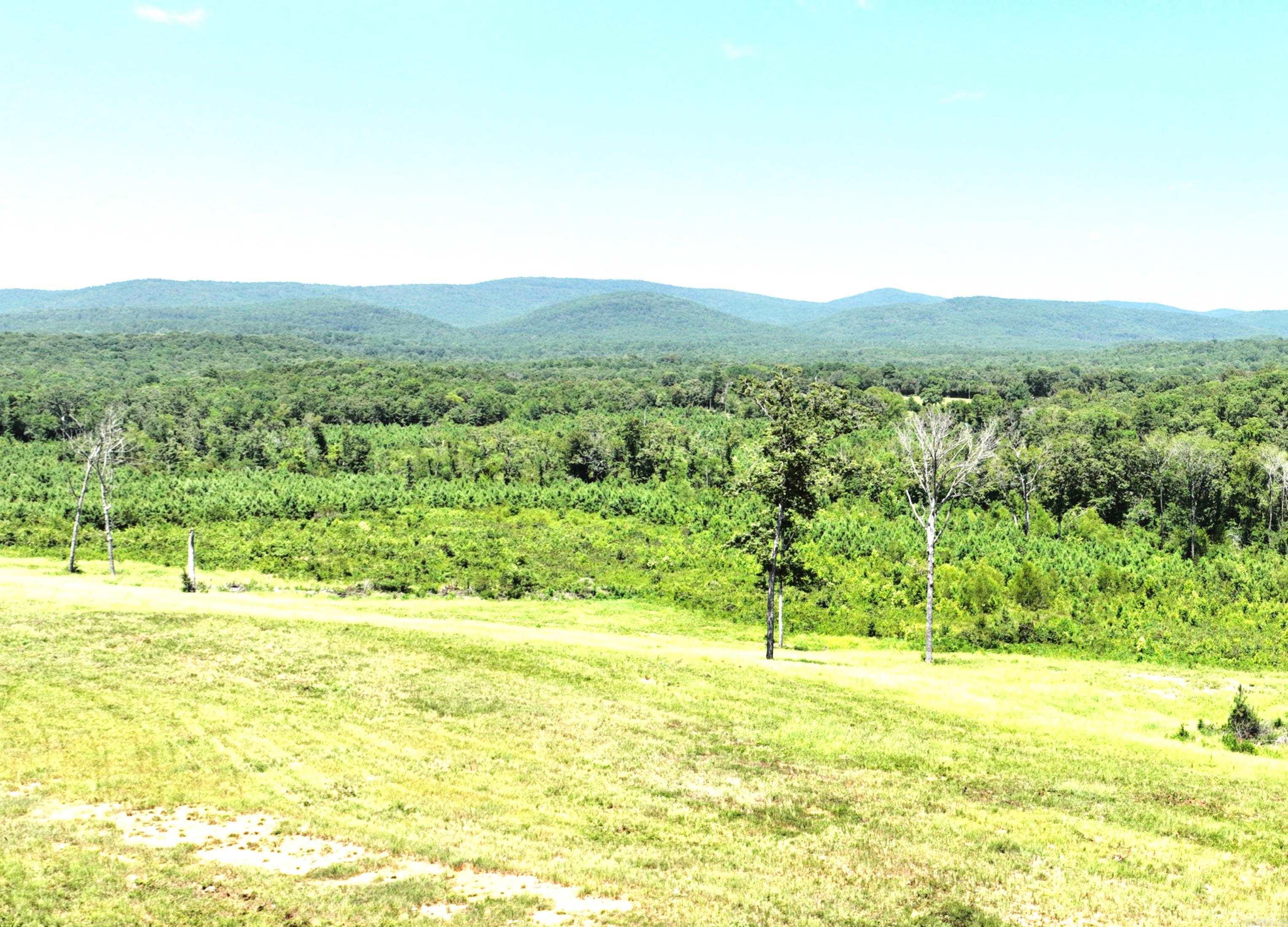 251 Polk Road 72  Mena, AR
