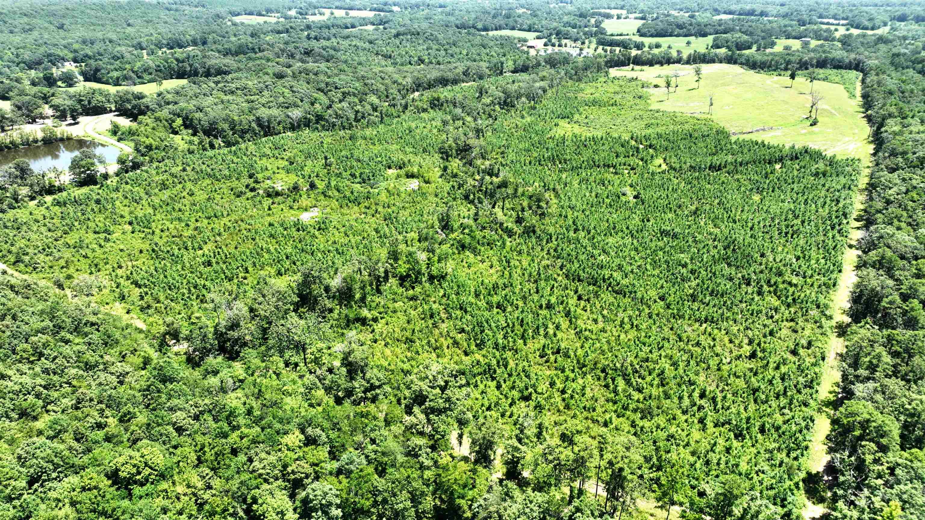 251 Polk Road 72  Mena, AR
