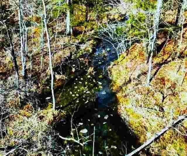 251  Polk Road 72  Mena, AR