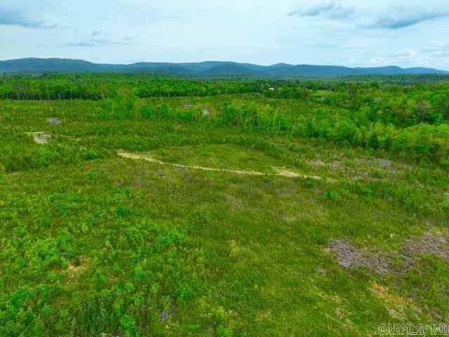 251  Polk Road 72  Mena, AR