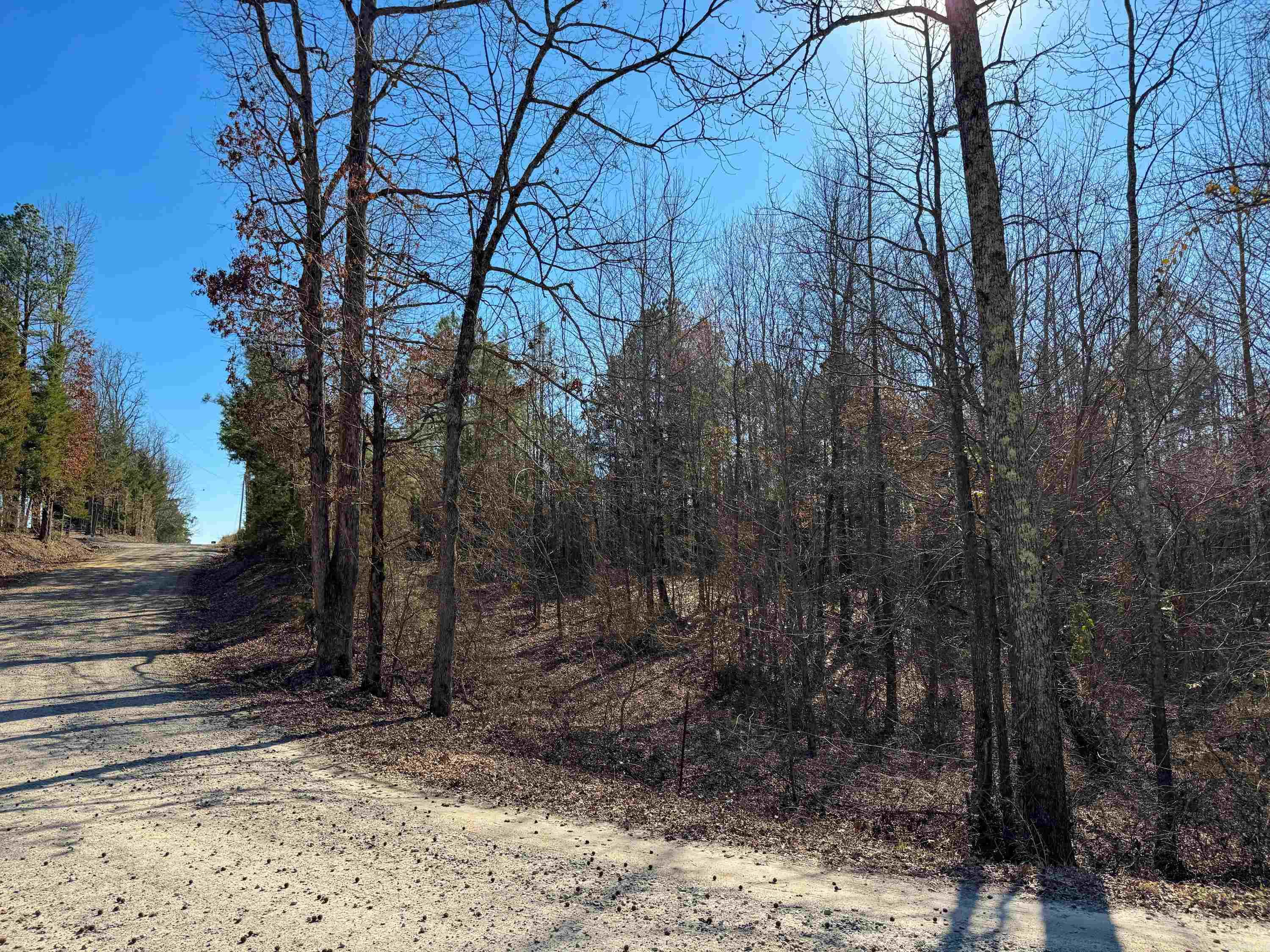 100  Guy  Quitman, AR