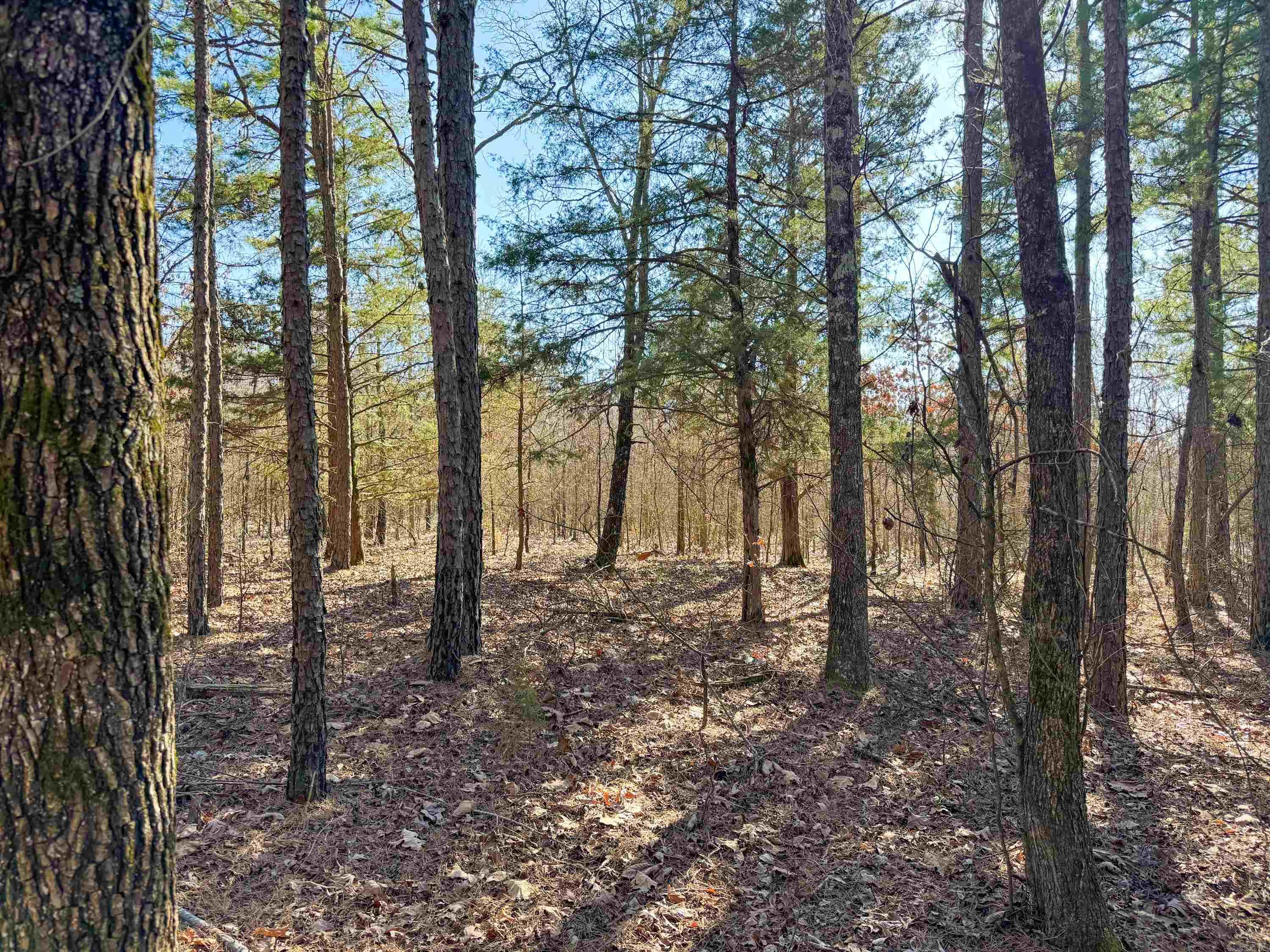 102  Guy  Quitman, AR