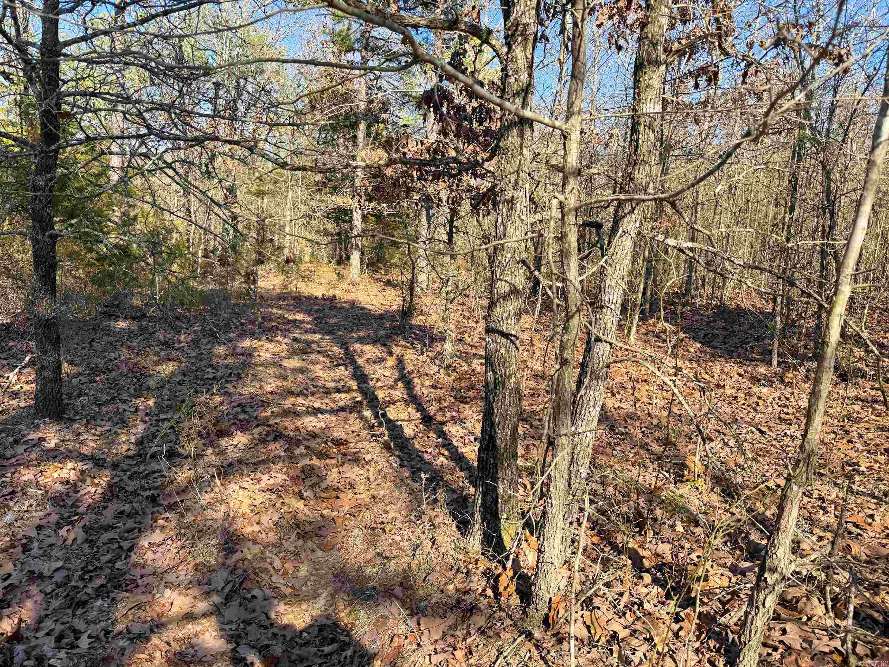 102  Guy  Quitman, AR