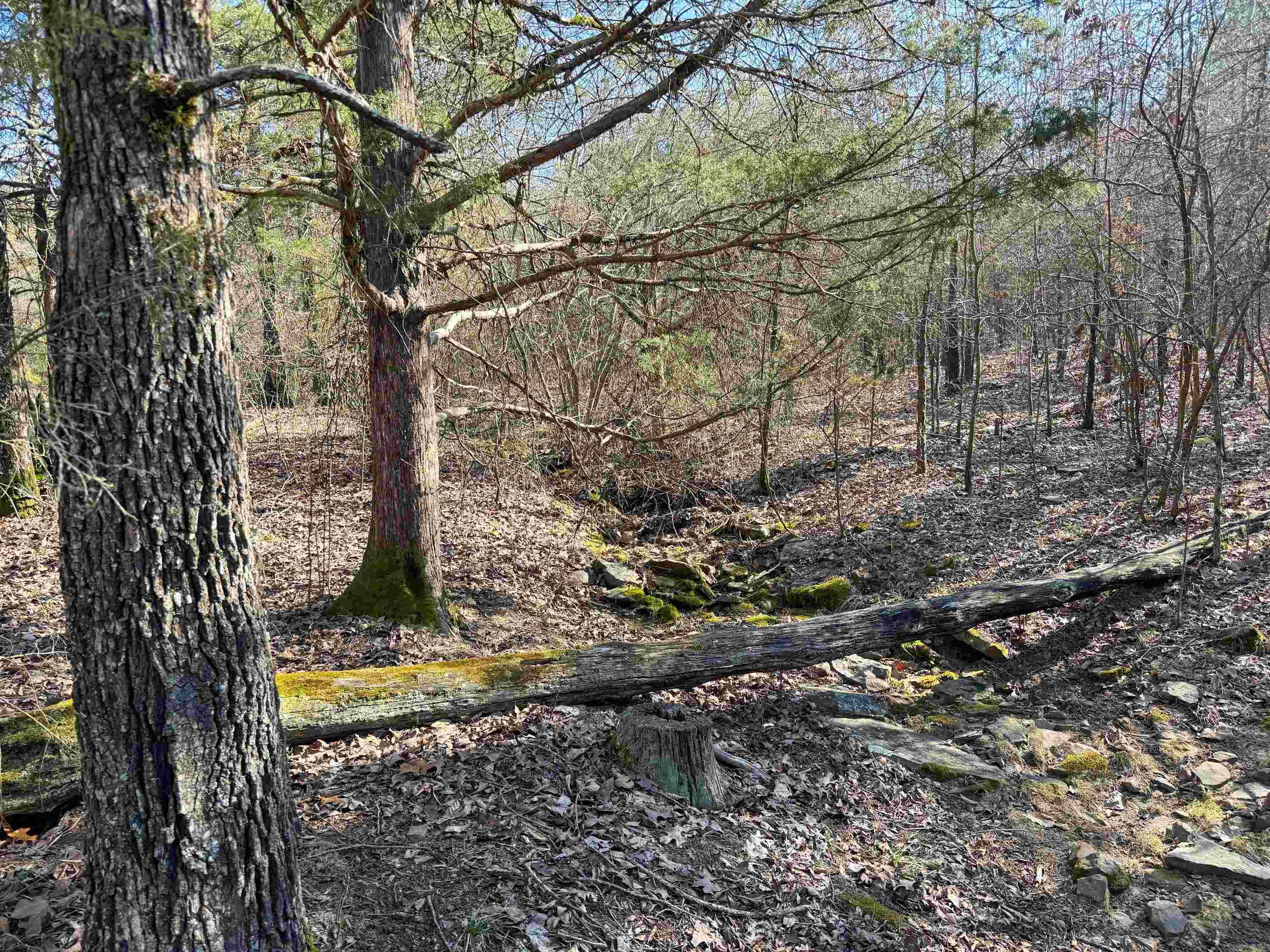 102  Guy  Quitman, AR
