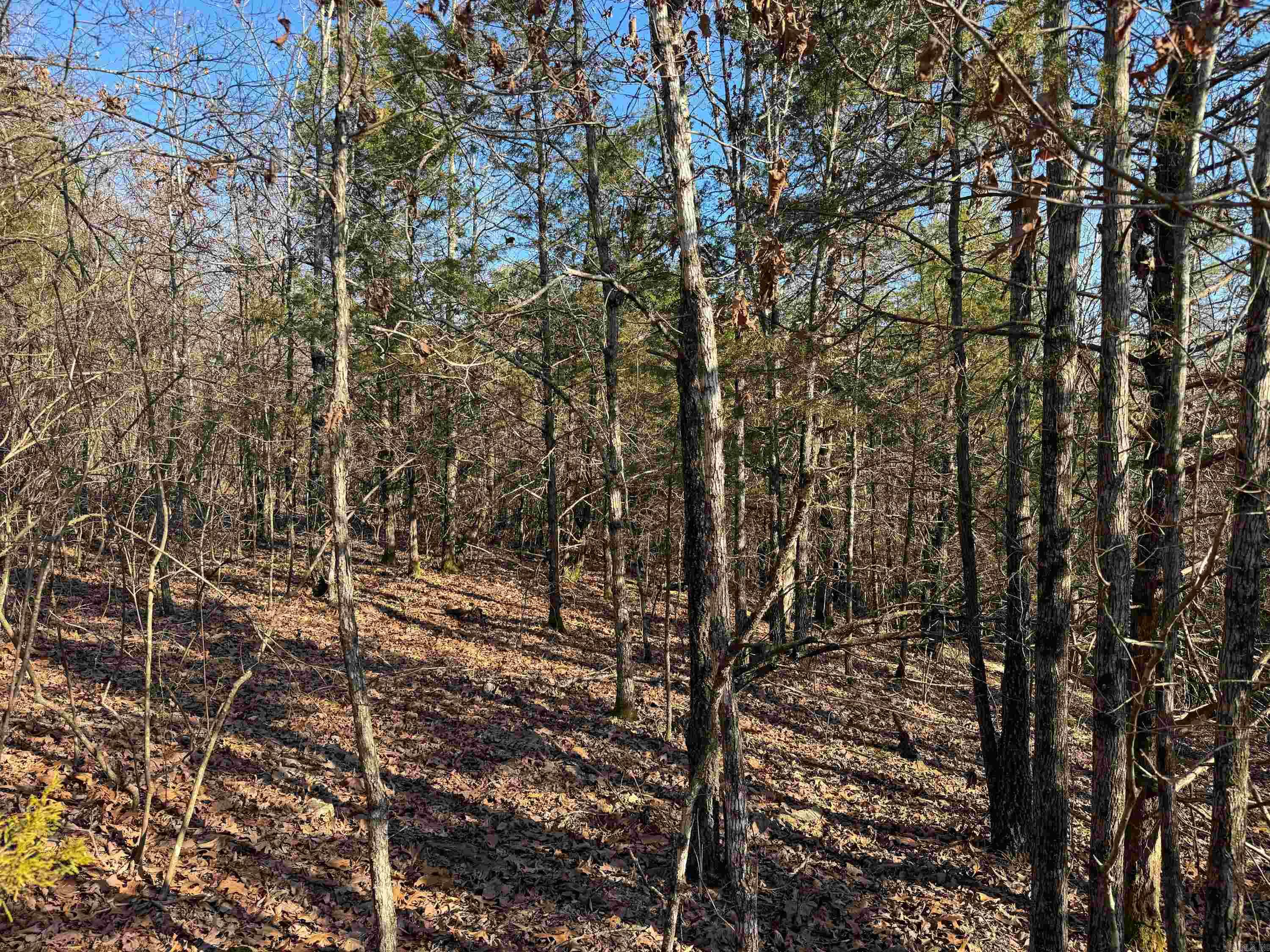 102  Guy  Quitman, AR
