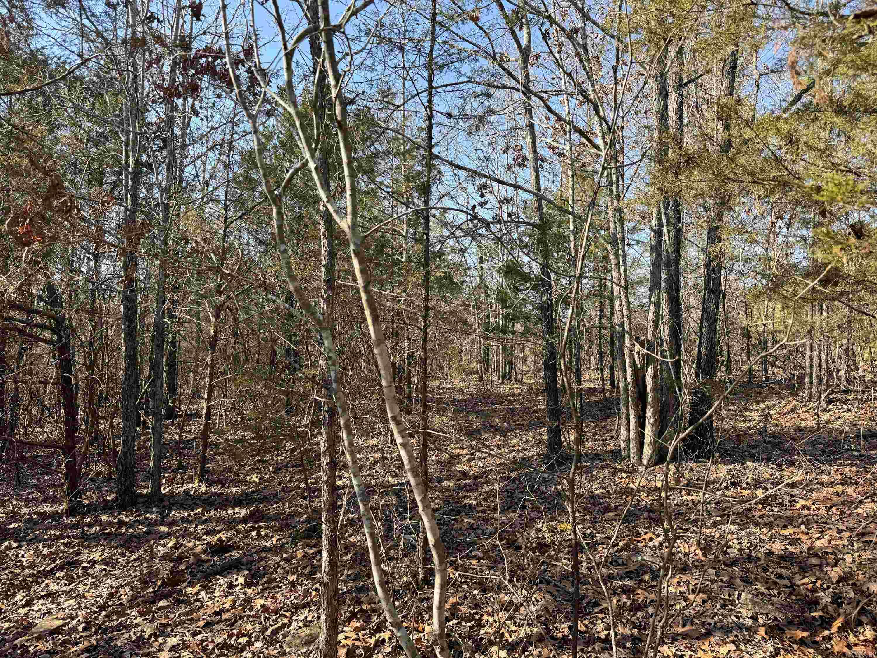 102  Guy  Quitman, AR
