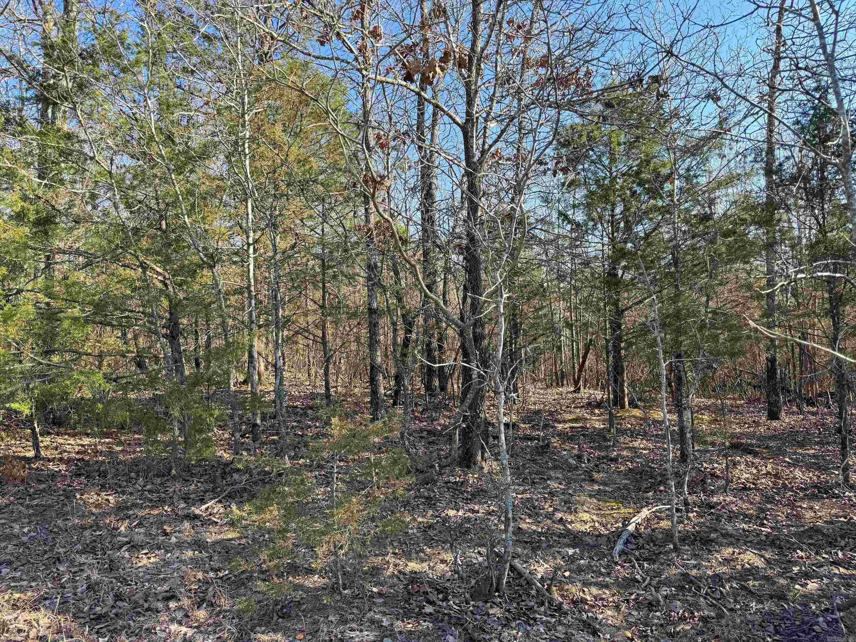 102  Guy  Quitman, AR