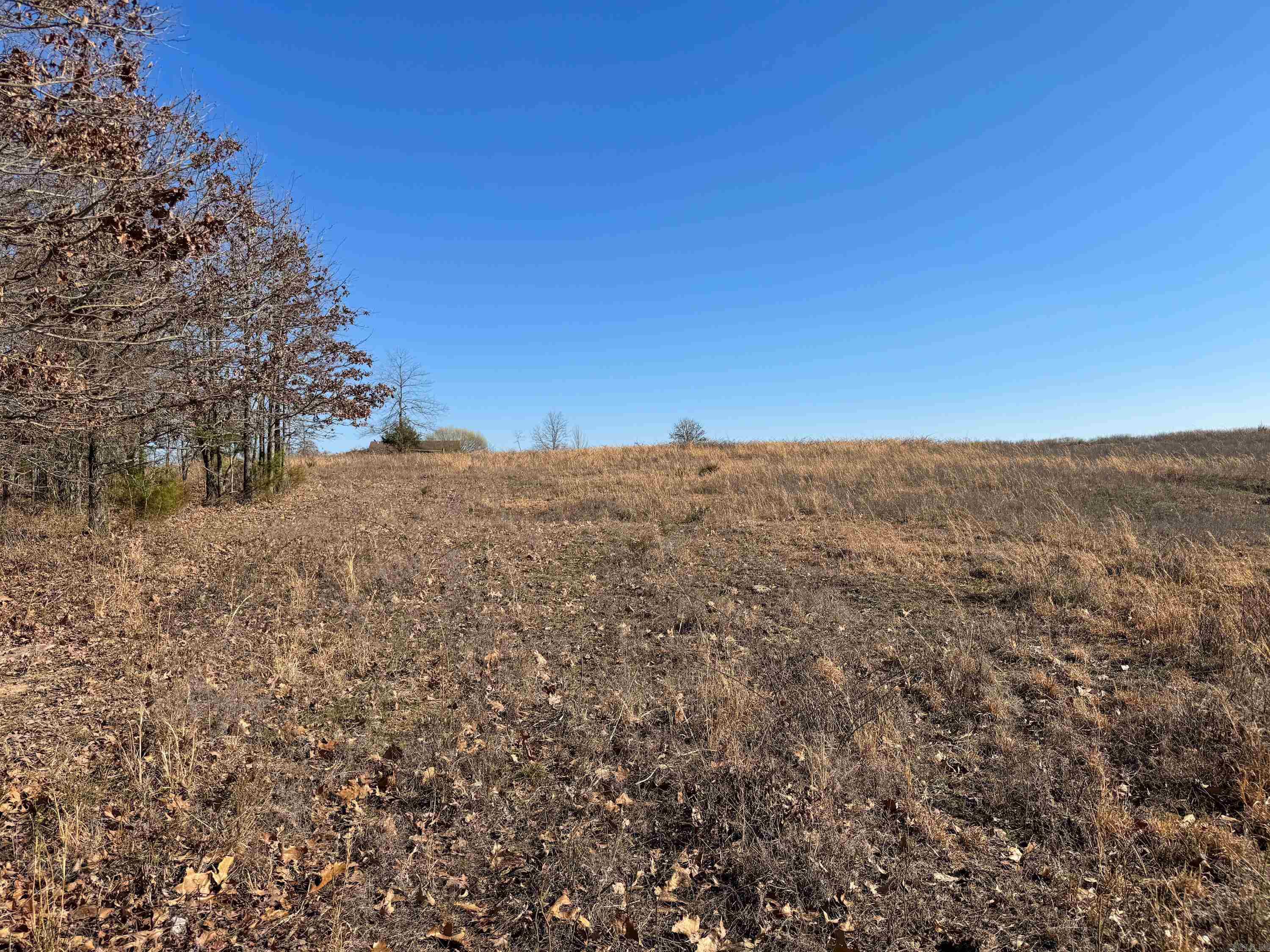 102  Guy  Quitman, AR