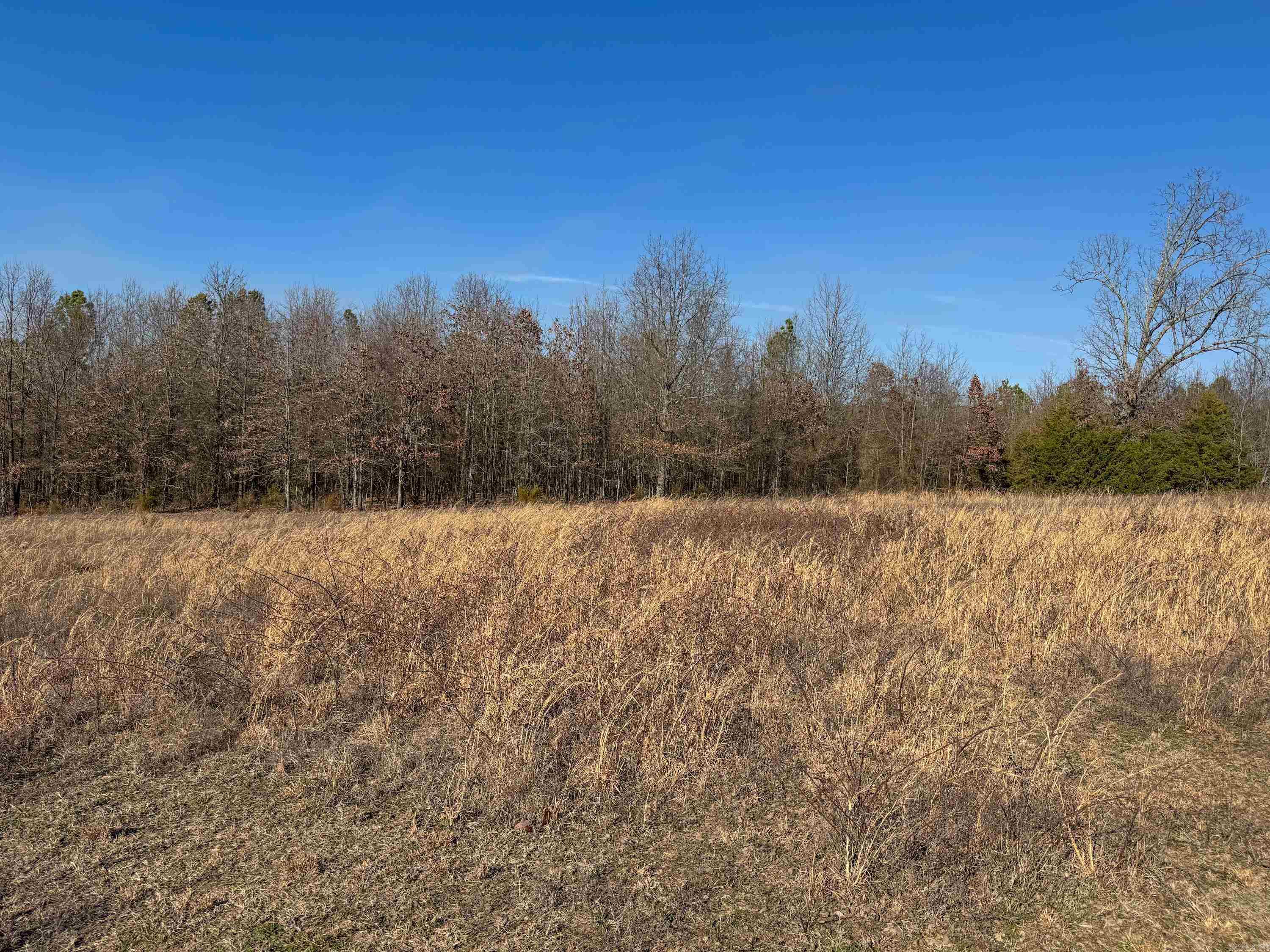 102  Guy  Quitman, AR