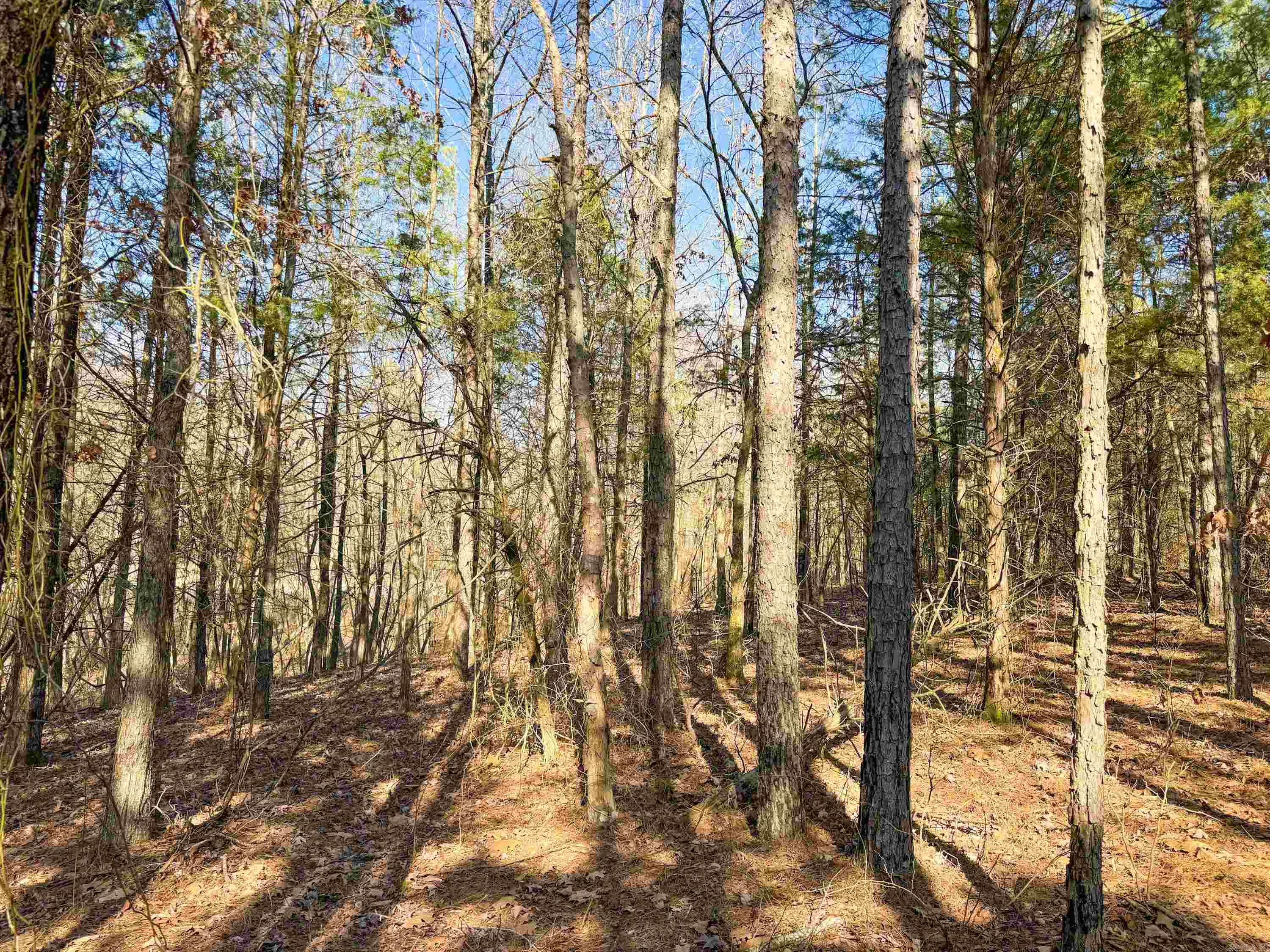 102  Guy  Quitman, AR