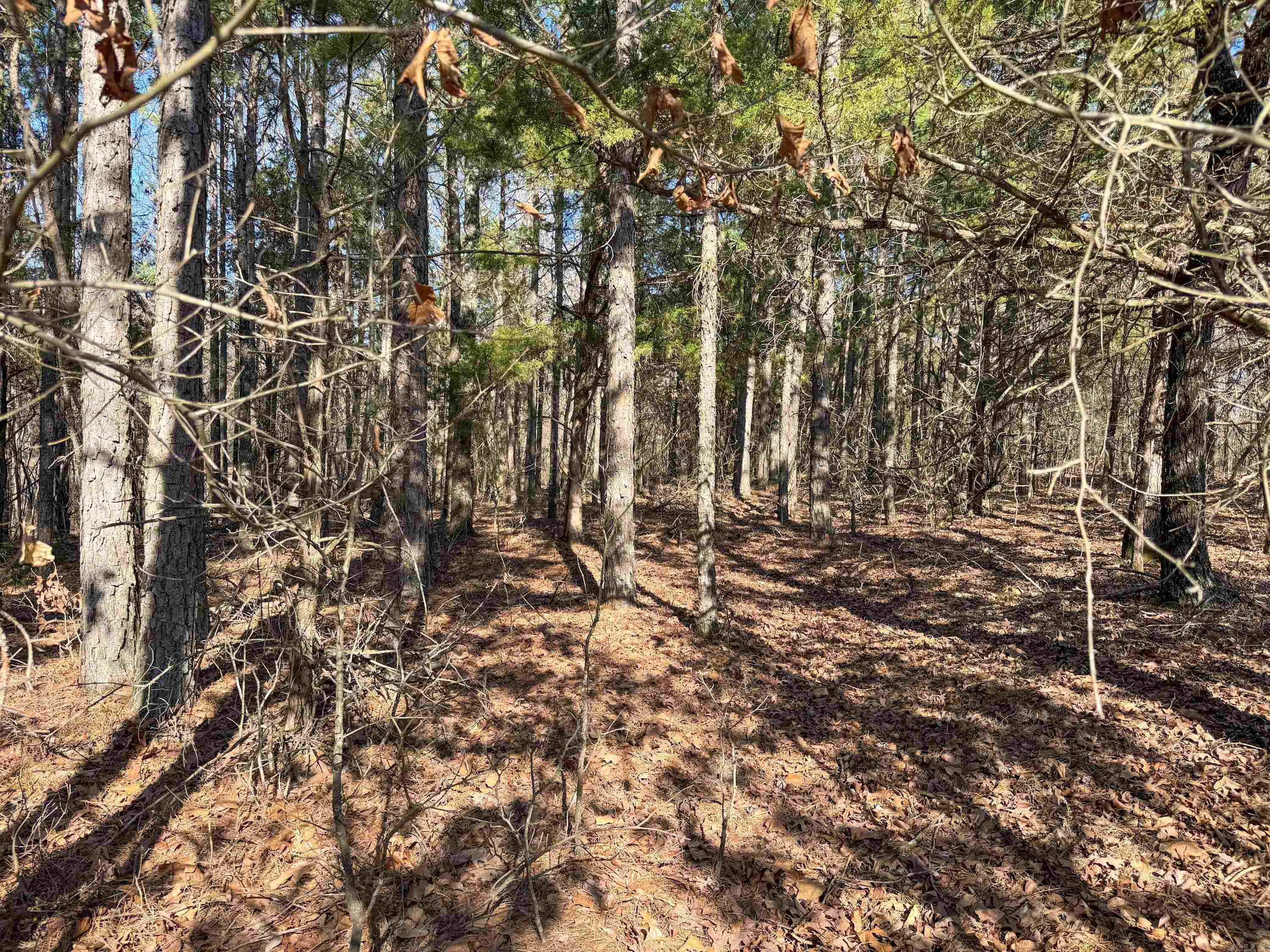 102  Guy  Quitman, AR