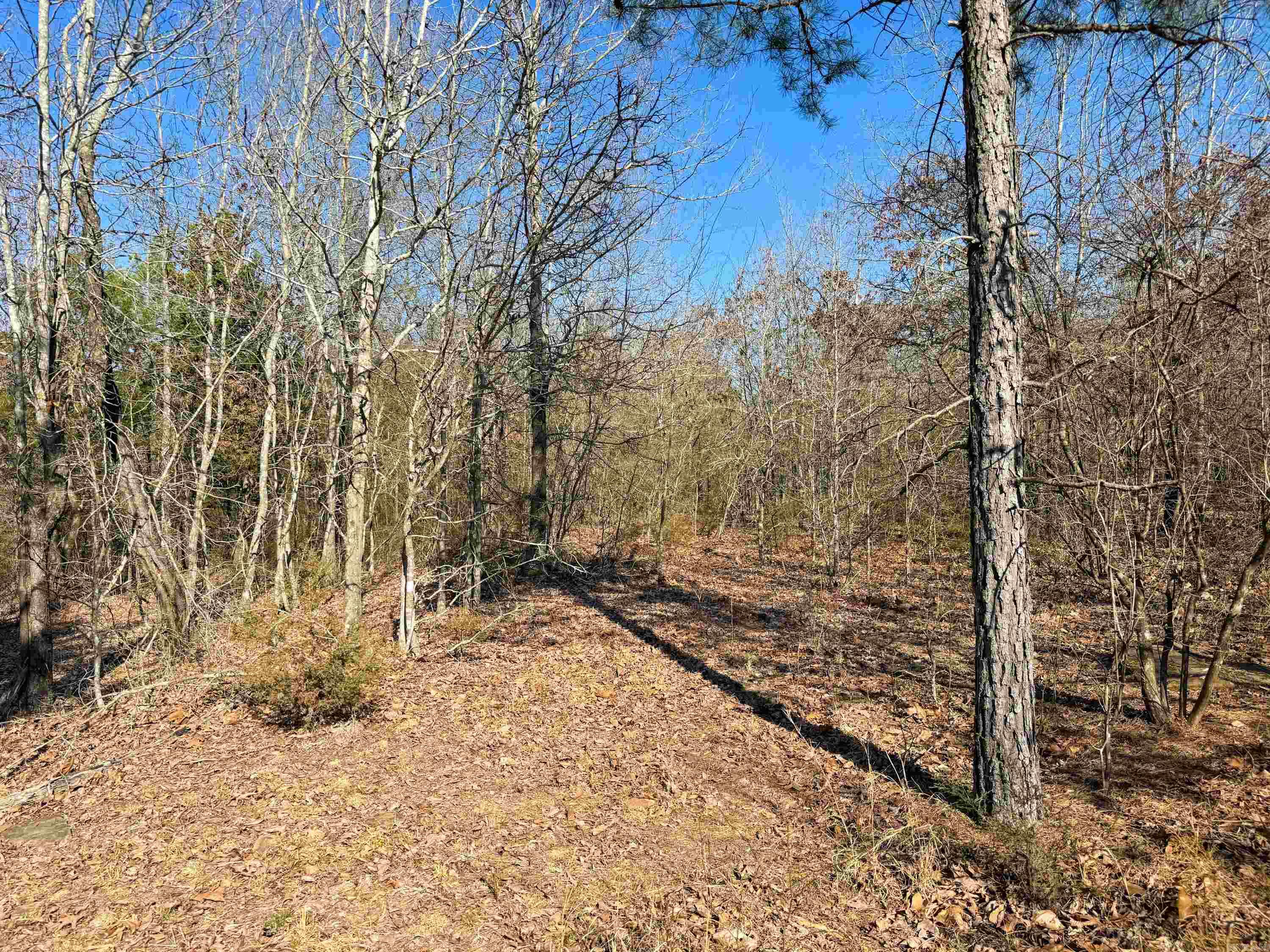 102  Guy  Quitman, AR