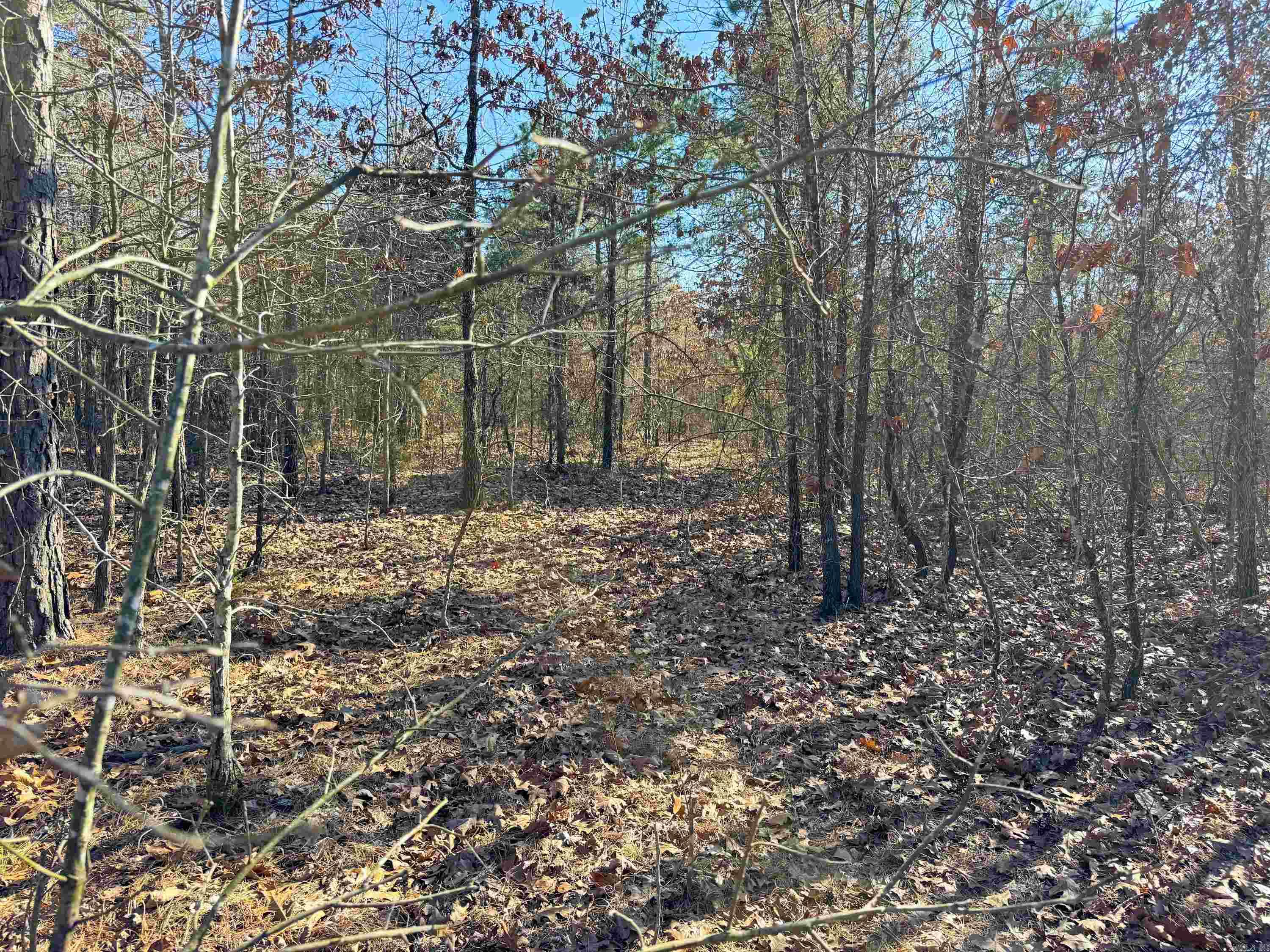 102  Guy  Quitman, AR