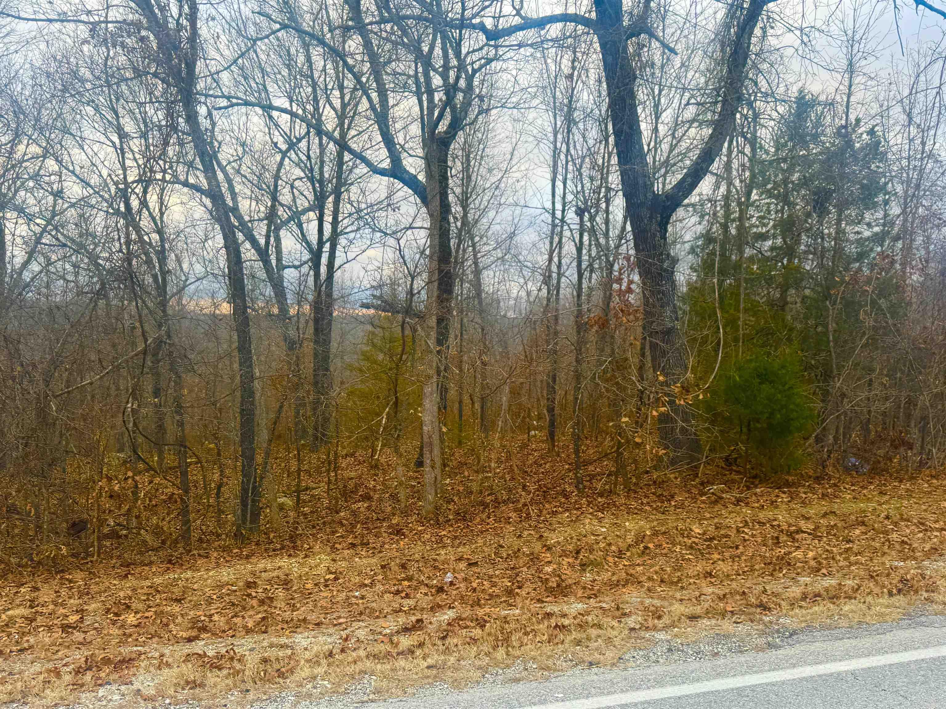 Lot 2  South Bend  Horseshoe Bend, AR
