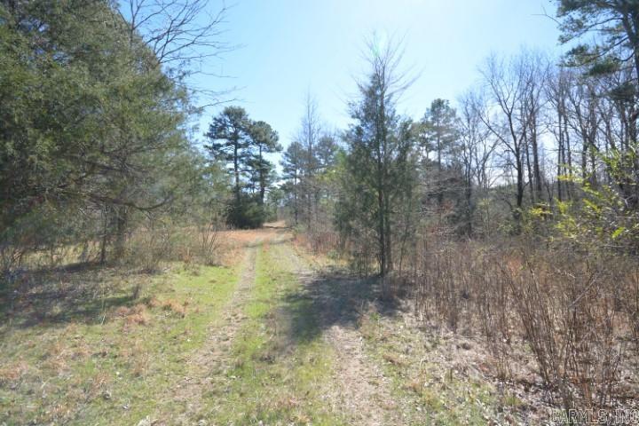 6799  Ferndale Cut Off  Little Rock, AR