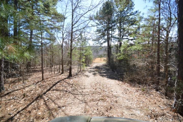 6799  Ferndale Cut Off  Little Rock, AR