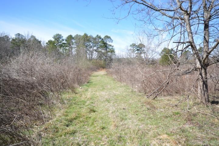 6799  Ferndale Cut Off  Little Rock, AR