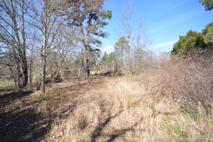 6799  Ferndale Cut Off  Little Rock, AR